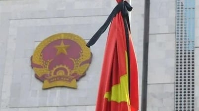 Arrêt des activités de divertissement pendant 2 jours de deuil national pour l'ancien président Tran Duc Luong
