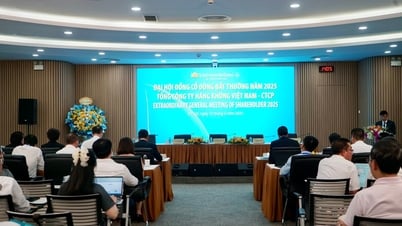 Внеочередное общее собрание акционеров Vietnam Airlines 2025 г.: одобрен план увеличения уставного капитала на 9 000 млрд донгов