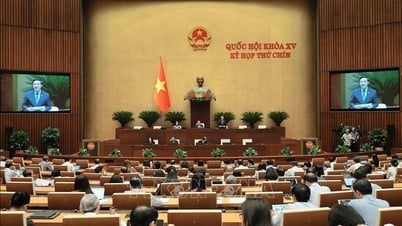 Ngày 23/5, Quốc hội thảo luận về kết quả phát triển kinh tế - xã hội, ngân sách nhà nước