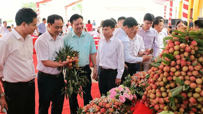 Bac Giang : Promotion de la consommation de 15 000 tonnes de litchis précoces