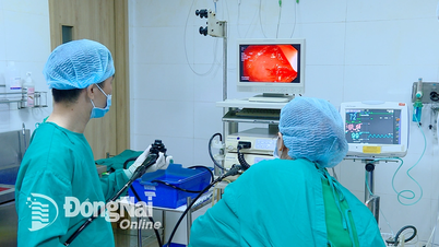 Khi nào cần nội soi đại tràng?