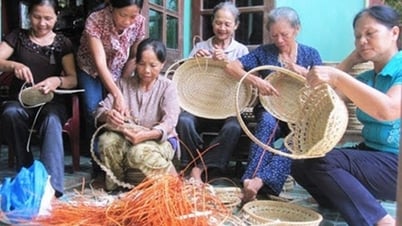 Xây dựng khung pháp lý để không lãng phí nguồn lực người cao tuổi