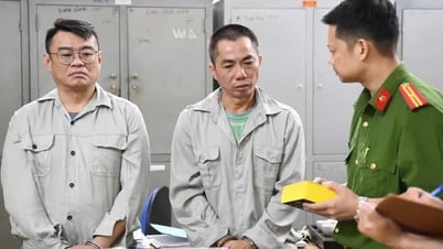 ビットニーマルチレベルマーケティングチェーン事件：ベトナム人10万7000人が参加：同時に資本を減らすという奇妙な動き