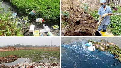 حل مشكلة التلوث البيئي بشكل حاسم