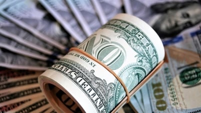 Tỷ giá ngoại tệ hôm nay 23/5: Đồng USD lấy lại đà tăng nhẹ