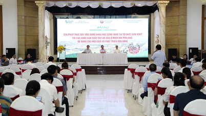 Tăng cường ứng dụng khoa học công nghệ vào tổ chức sản xuất cây ăn quả ở miền núi phía bắc