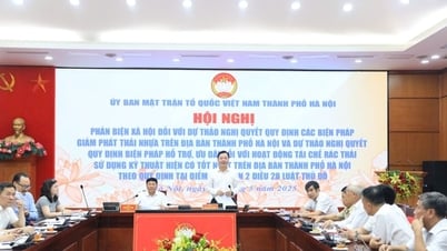 Việc ban hành 2 nghị quyết về bảo vệ môi trường trên địa bàn Hà Nội là cấp thiết