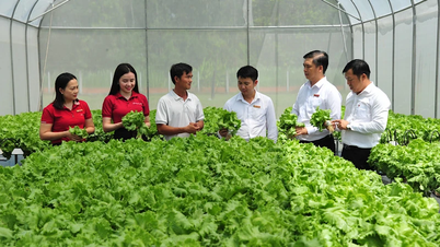 Agribank mở rộng phạm vi gói tín dụng ưu đãi nông, lâm, thủy sản
