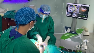 Cần có quy định pháp lý và hướng dẫn khi ứng dụng AI trong nha khoa