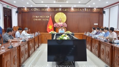 Срочно организовать планирование, планирование промышленного, городского и сервисного парка Фу Май