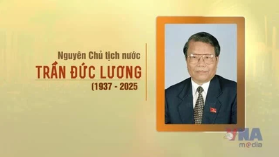 전 정치국 위원이자 전 대통령인 Tran Duc Luong의 약력 요약
