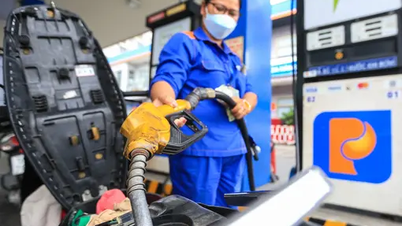 Precios de la gasolina hoy, 23 de mayo: Siguen bajando debido a la preocupación por el aumento de la oferta