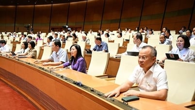 Supplementing more than 4,300 billion VND of regular expenditure budget from non-refundable aid