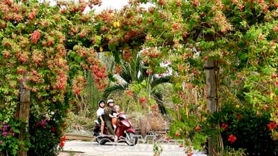 Ðiểm nhấn sắc màu