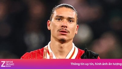 Liverpool muốn thanh lý 7 cầu thủ