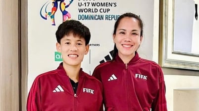 Vietnamese referees appointed at international tournaments