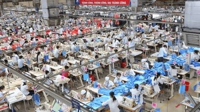 La tecnología es la clave para la transformación verde de la industria textil