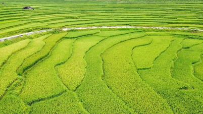 Ngắm 'cổng nhà trời' Pù Luông