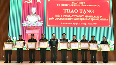 Commandement militaire provincial de Binh Phuoc : 15 personnes ont reçu la Médaille de la protection de la patrie