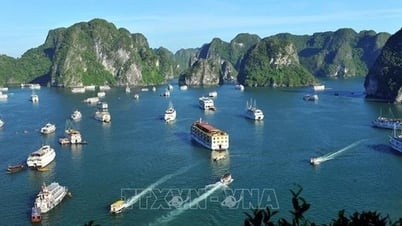 Quảng Ninh: Dừng hoạt động với tàu du lịch để khách sử dụng sản phẩm nhựa dùng một lần