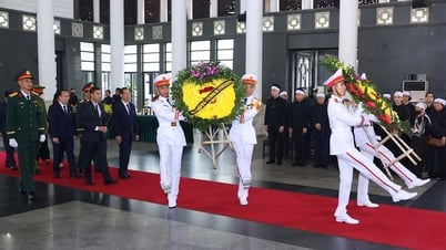 Делегация провинции Бакзянг посещает бывшего президента Чан Дык Лыонга