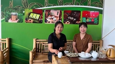 タイ・グエン：女性が資本にアクセスするための条件を整備する