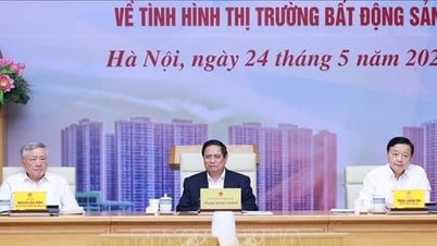 Thủ tướng chỉ đạo xử lý các hành vi tạo giá ảo, kéo giảm giá bất động sản