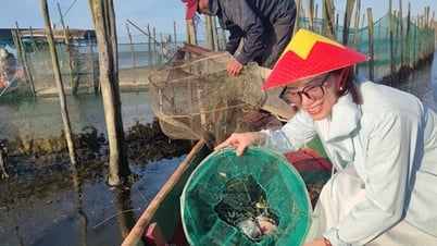Создание образцовых туристических мест, сокращающих количество пластика в лагуне Тамзянг