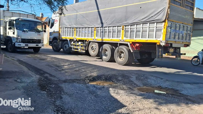 Prohibit vehicles with a load capacity of 8 tons or more from circulating through the intersection of Co Cay Xoai and DT.767 from May 27.