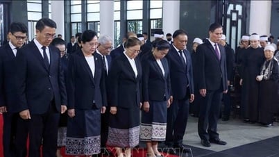 Staatsbegräbnis des ehemaligen Präsidenten Tran Duc Luong: Mehr als 650 Delegationen ...