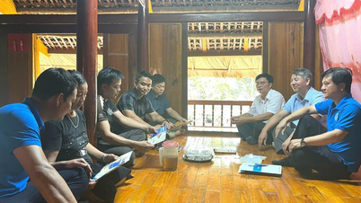 Tăng cường thực hiện chính sách BHXH, BHYT trên địa bàn tỉnh