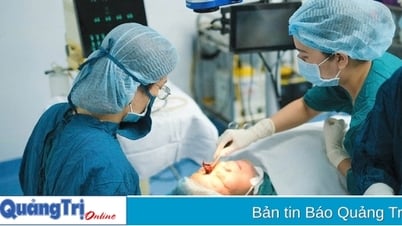 Развертывание службы хирургии заднего сегмента глаза в офтальмологической больнице