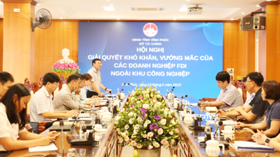 Tháo gỡ khó khăn, vướng mắc cho các doanh nghiệp FDI ngoài khu công nghiệp