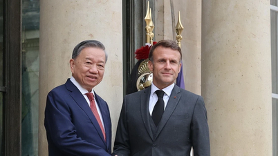 Đại sứ Olivier Brochet: Pháp sẽ đồng hành, hỗ trợ Việt Nam thực hiện quá trình chuyển đổi năng lượng