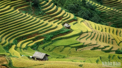 การปรับโครงสร้างการท่องเที่ยวรักษาเอกลักษณ์