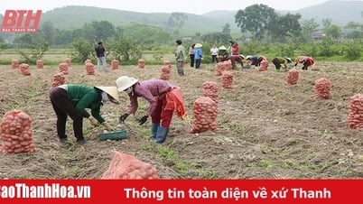 Создание цепочки поставок сельскохозяйственной продукции