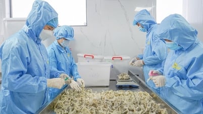يجب التأكد من جودة عش الطائر لخدمة الناس
