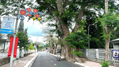 Turismo verde en Con Dao