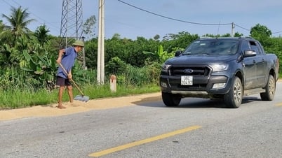 도로가 벼 건조장으로 변하면 교통 안전 위험