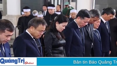 Delegation of Quang Tri province visits former President Tran Duc Luong