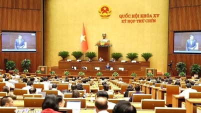 国会、2025年の追加通常支出見積もりを4兆3000億ドン超に確定