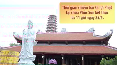 Thời gian chiêm bái Xá lợi Phật tại chùa Phúc Sơn kết thúc lúc 11 giờ ngày 25/5