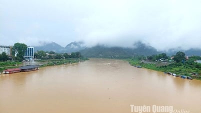Tập trung ứng phó nguy cơ sạt lở đất, lũ quét và ngập lụt cục bộ