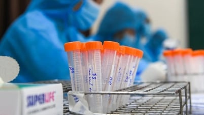 Обнаружен новый вариант COVID-19, циркулирующий в Хошимине