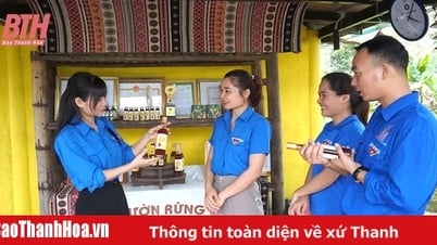 Hiệu quả từ xây dựng sản phẩm OCOP ở Như Xuân