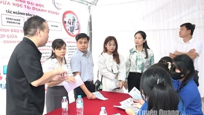 Trên 700 người lao động, học sinh tham gia phiên giao dịch việc làm tại Sơn Dương
