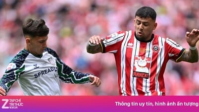 Finale de promotion en Premier League : Sunderland subit une défaite amère