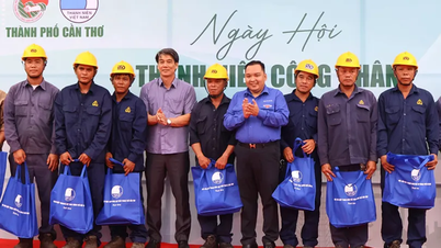 Promote activities to care for and protect the legitimate rights and interests of young workers.