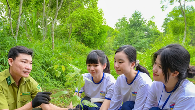 Những giờ học sống động của học sinh chuyên Sinh tại Vườn quốc gia Cúc Phương