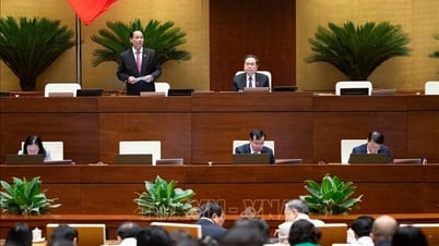 Lộ, lọt, mua bán thông tin dữ liệu cá nhân là nguyên nhân chính khiến các đối tượng thực hiện hành vi phạm tội